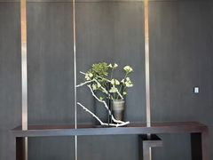 -大中华希尔顿酒店-念自助餐·嗨啤·小龙虾