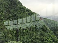 -南山植物园