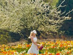 -名花谷生态庄园