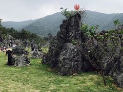 -千岛湖石林