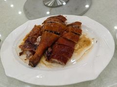 -姚林轩