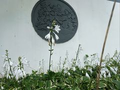 -燕郊植物园