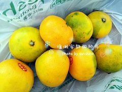 -叶氏兄弟(大连奥特莱斯店)