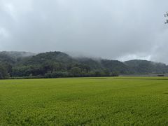 -南泥湾风景区