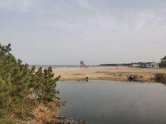 -日照海滨国家森林公园