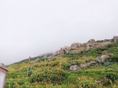 -长江澳风力发电景观区