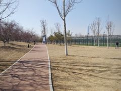 -水西公园