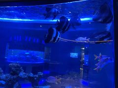 -上和臻品中国菜(花园街店)