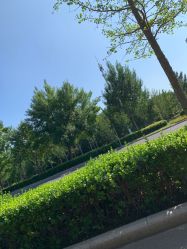 -HEYAN长风荷妍专业脱毛美肤
