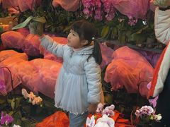 -越秀西湖花市(广州城市广场花卉店)