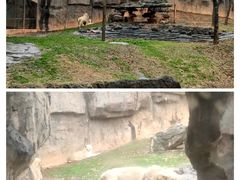 -杭州野生动物世界