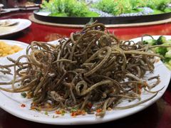 -南庄酒家·海鲜粤菜·25年老字号(环城南路店)