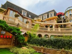 -叶叶菩提(太原别墅店)