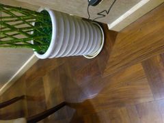 -温州王朝大酒店-自助餐厅