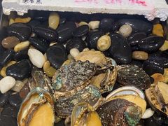 -蓝珊瑚蒸汽海鲜餐厅(龙奥店)