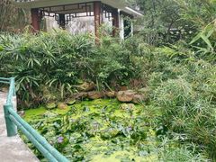 -深圳国际园林花卉博览园