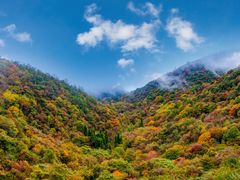 -九皇山景区