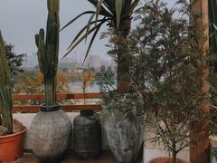 -悦哉·派对·草坪婚礼·围炉煮茶(三圣乡店)