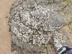 -青岛金沙滩