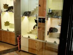 -十年猫舍·猫咪专门店(普陀店)