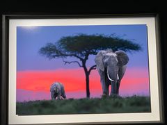 -罗红摄影艺术馆