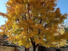 -承德避暑山庄景区