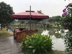 -洪湖家庭农场·团建·露营·会议