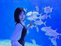-哈尔滨波塞冬海底世界