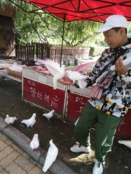 -郑州市世纪公园