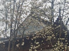 -长春观