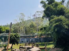 -泉州海丝野生动物世界