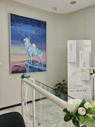 -上海漾颜医疗美容
