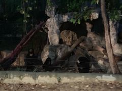 -清迈夜间动物园