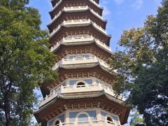-灵谷景区