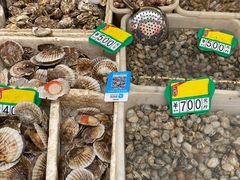 -青石桥市场北1-27号