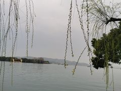 -浙江西子宾馆·瑶园咖啡厅