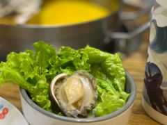-青瓷火锅料理(西单大悦城店)