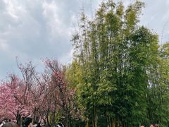 -昆明动物园