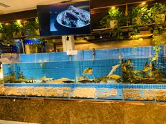 -蓝钻·国际美食海鲜自助百汇(西直门店)