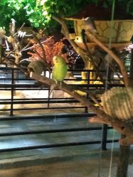 -酷嗒动物文化乐园(cutezoo西溪乐天城店)