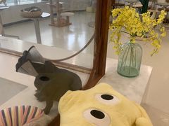 -共舞时光猫咖·狗咖(新街口店)