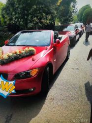 -蚂蚁婚车