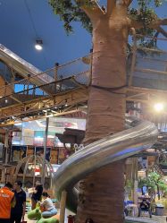 -卡通尼·Safari非洲探索乐园·生日会(金桥国际商业广场店)