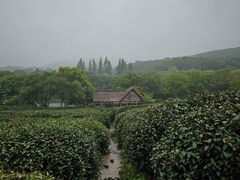 -茅家埠