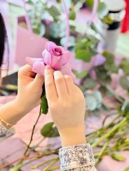 -baby bella小贝拉母婴护理中心(珠海希尔顿店)