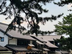 -奈良公园