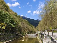 -牛背梁国家森林公园