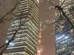 -上海中心大厦
