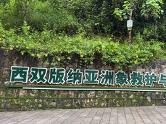 -野象谷景区