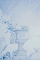 -忆江南婚礼策划(姑苏店)